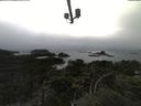 ./images/calvert/lookout/20210903/lookout20210903_172501.jpg