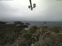 ./images/calvert/lookout/20210904/lookout20210904_110501.jpg