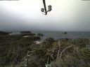 ./images/calvert/lookout/20210904/lookout20210904_112001.jpg