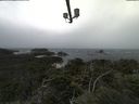 ./images/calvert/lookout/20210904/lookout20210904_114001.jpg