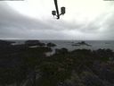 ./images/calvert/lookout/20210904/lookout20210904_161002.jpg