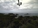 ./images/calvert/lookout/20210905/lookout20210905_100501.jpg