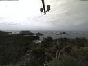 ./images/calvert/lookout/20210905/lookout20210905_124501.jpg