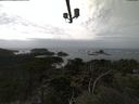 ./images/calvert/lookout/20210905/lookout20210905_145502.jpg