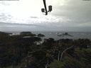 ./images/calvert/lookout/20210905/lookout20210905_152001.jpg