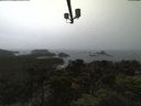 ./images/calvert/lookout/20210906/lookout20210906_135502.jpg
