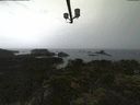 ./images/calvert/lookout/20210906/lookout20210906_140502.jpg