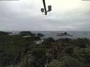 ./images/calvert/lookout/20210906/lookout20210906_174002.jpg