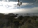 ./images/calvert/lookout/20210907/lookout20210907_150502.jpg