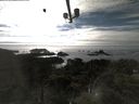 ./images/calvert/lookout/20210907/lookout20210907_172002.jpg