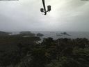 ./images/calvert/lookout/20210908/lookout20210908_130502.jpg