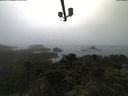 ./images/calvert/lookout/20210908/lookout20210908_152002.jpg
