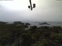 ./images/calvert/lookout/20210908/lookout20210908_184002.jpg