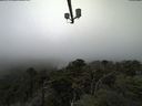 ./images/calvert/lookout/20210909/lookout20210909_105502.jpg