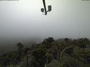 ./images/calvert/lookout/20210909/lookout20210909_112501.jpg