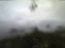 ./images/calvert/lookout/20210910/lookout20210910_063502.jpg