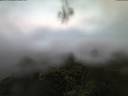 ./images/calvert/lookout/20210910/lookout20210910_064502.jpg