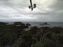 ./images/calvert/lookout/20210910/lookout20210910_123502.jpg