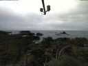 ./images/calvert/lookout/20210910/lookout20210910_151001.jpg