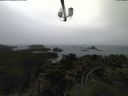 ./images/calvert/lookout/20210910/lookout20210910_155501.jpg