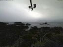 ./images/calvert/lookout/20210910/lookout20210910_164502.jpg