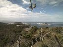 ./images/calvert/lookout/20210911/lookout20210911_105501.jpg