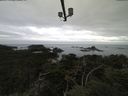 ./images/calvert/lookout/20210913/lookout20210913_084502.jpg