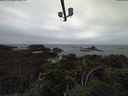 ./images/calvert/lookout/20210913/lookout20210913_114501.jpg