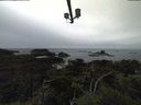 ./images/calvert/lookout/20210913/lookout20210913_115501.jpg