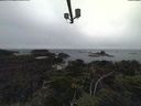 ./images/calvert/lookout/20210913/lookout20210913_120501.jpg
