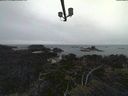 ./images/calvert/lookout/20210913/lookout20210913_121001.jpg