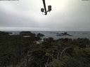 ./images/calvert/lookout/20210913/lookout20210913_124002.jpg