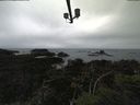 ./images/calvert/lookout/20210913/lookout20210913_143502.jpg