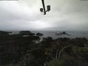 ./images/calvert/lookout/20210913/lookout20210913_144502.jpg