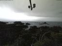./images/calvert/lookout/20210913/lookout20210913_171001.jpg