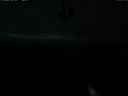 ./images/calvert/lookout/20210913/lookout20210913_202502.jpg