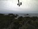 ./images/calvert/lookout/20210916/lookout20210916_134002.jpg