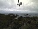 ./images/calvert/lookout/20210916/lookout20210916_154501.jpg