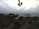 ./images/calvert/lookout/20210916/lookout20210916_161501.jpg