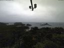 ./images/calvert/lookout/20210916/lookout20210916_174502.jpg