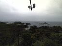 ./images/calvert/lookout/20210916/lookout20210916_175002.jpg