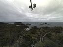 ./images/calvert/lookout/20210917/lookout20210917_095502.jpg