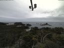 ./images/calvert/lookout/20210917/lookout20210917_155502.jpg