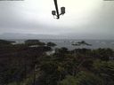 ./images/calvert/lookout/20210917/lookout20210917_172002.jpg