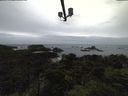 ./images/calvert/lookout/20210917/lookout20210917_174502.jpg