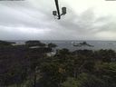 ./images/calvert/lookout/20210917/lookout20210917_184501.jpg