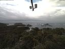 ./images/calvert/lookout/20210919/lookout20210919_085501.jpg