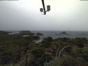 ./images/calvert/lookout/20210920/lookout20210920_160501.jpg