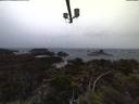 ./images/calvert/lookout/20210920/lookout20210920_194501.jpg