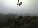 ./images/calvert/lookout/20210921/lookout20210921_082002.jpg